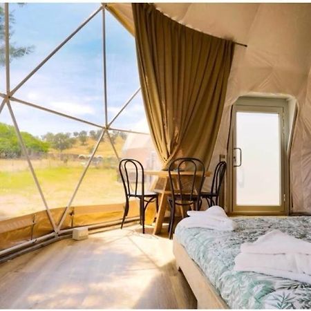 Caravans Park & Glamping Tents In The Vineyard Villa Torda Kültér fotó