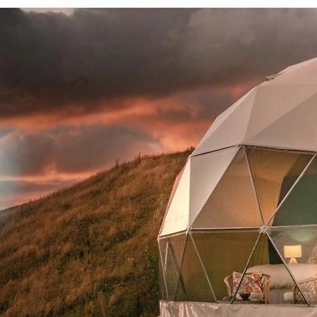 Caravans Park & Glamping Tents In The Vineyard Villa Torda Kültér fotó