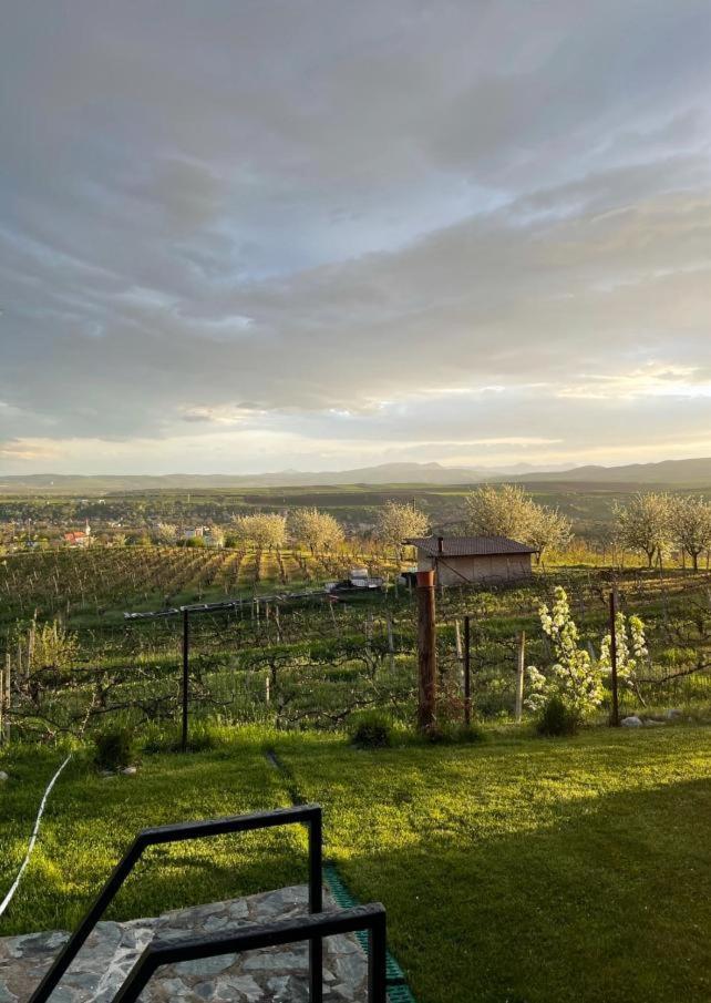 Caravans Park & Glamping Tents In The Vineyard Villa Torda Kültér fotó