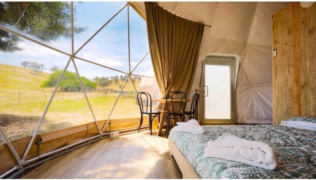 Caravans Park & Glamping Tents In The Vineyard Villa Torda Kültér fotó